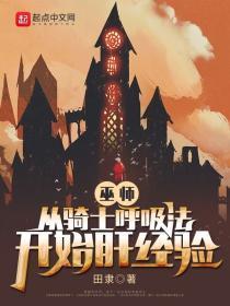 巫师 骑士