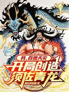 海贼王之科技果实