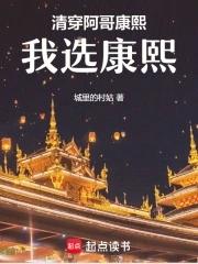 清穿阿哥推荐