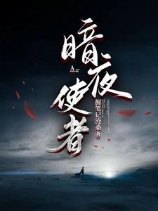 暗夜使者索拉卡多少钱
