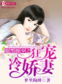 腹黑慕少之狂爱冷妻