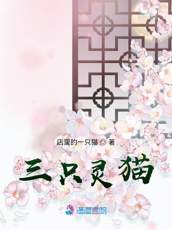 三只猫 动漫