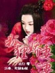 狐狸娇妻H1V1