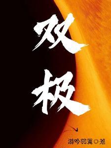 双极是什么意思