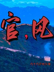 官风宝气全文免费阅读