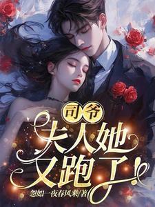 司爷你老婆又逃婚了免费阅读