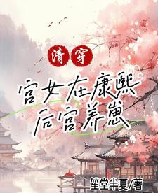 清穿之做康熙的外室