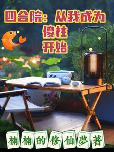 四合院从成傻柱他爹开始