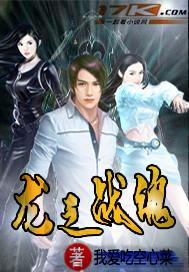 龙之战魂手游法师武装
