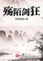 殇陌剑狂书评