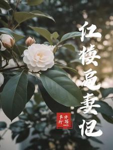 林黛玉嫁人的