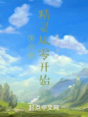 精灵宝可梦新手
