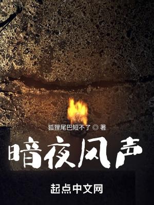 暗夜枫落by风中隙 (异世重生 强强 父子)