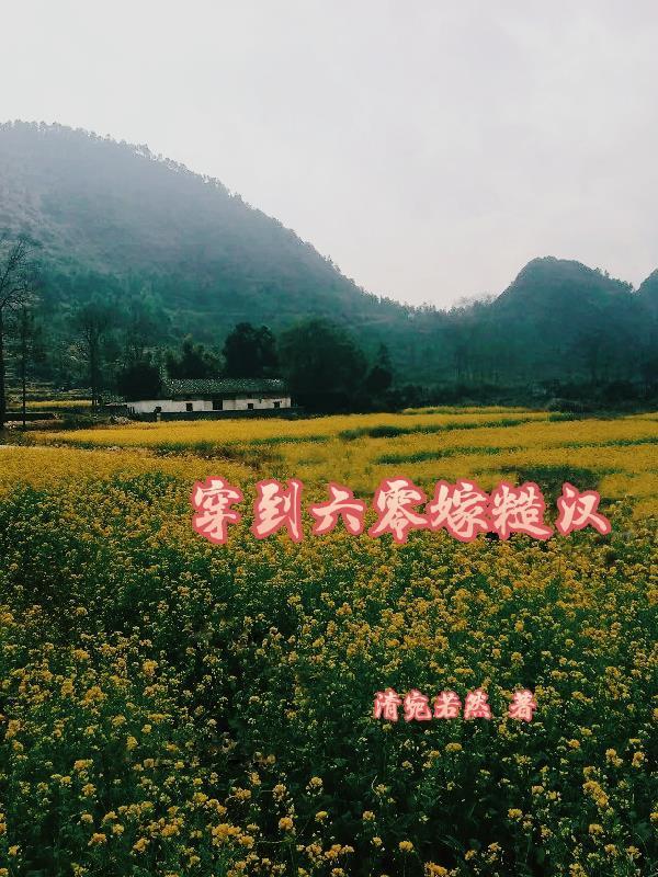 穿到六零嫁糙汉邓清灵