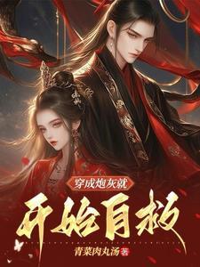 穿成炮灰后我直接弃疗是啥