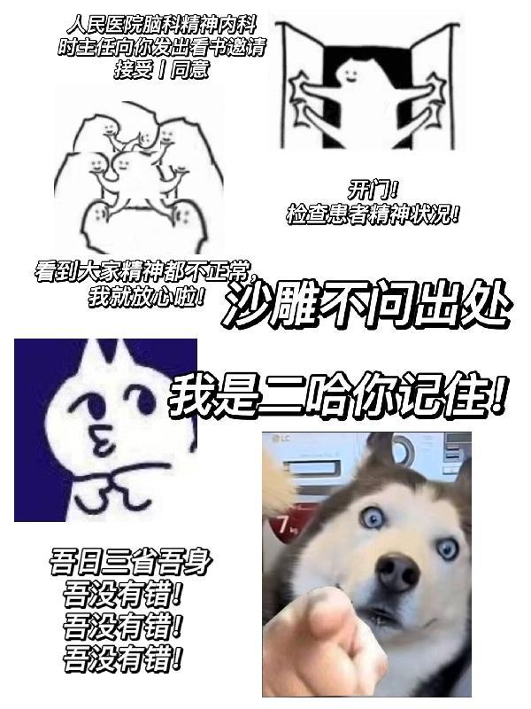 沙雕不问出处我是二哈你记住全文免费阅读