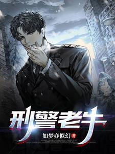 我在暴力城市当刑警百度