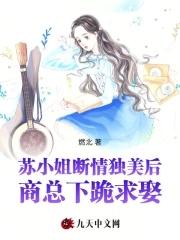 苏小姐只想离婚