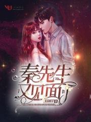 秦先生又见面了 易辰熙子