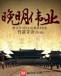 晚明讲的什么