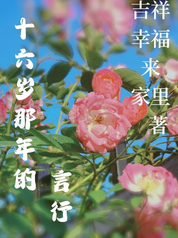 十六岁那年的烟花原文出处