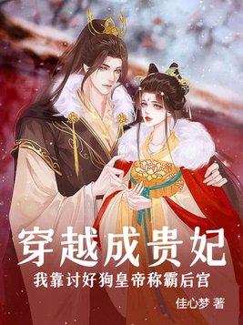 我穿越成贵妃的