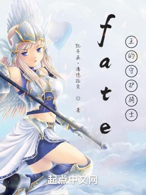 fate守护者