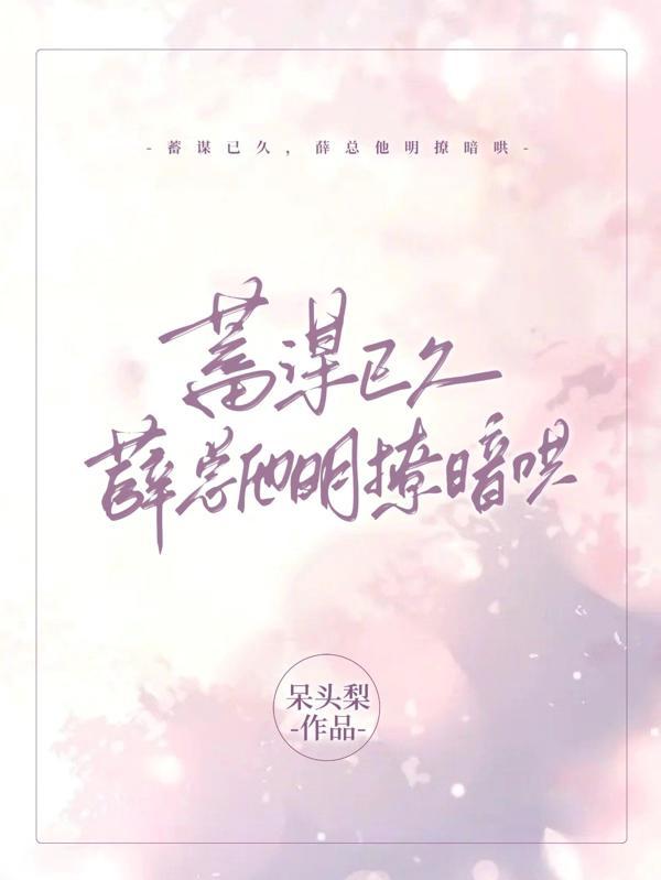 薛总他明撩暗哄txt