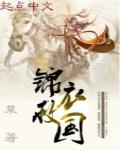 锦衣当国全本