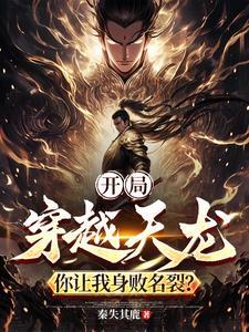 穿越天龙飞卢