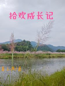 拾欢的