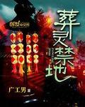 葬灵师说的什么