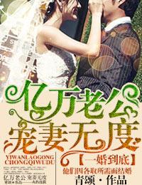 一婚到底总裁大人难伺候