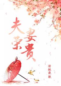 夫荣妻贵全集完整版