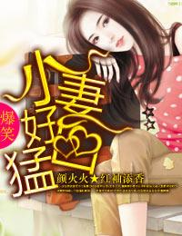 小妻好凶猛全文阅读