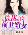总裁娇宠前妻