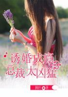 总裁诱妻成瘾全文
