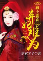 狼王霸欢弃妃难为原名叫什么