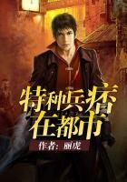 特种兵痞在都市段浪韩嘉宁
