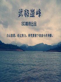 武极峰是什么概念