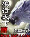 狼行天下三轮车发动机