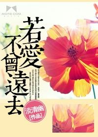 若爱不曾远去在线阅读