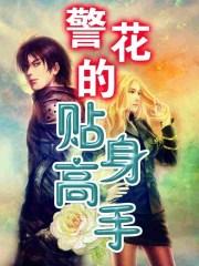 警花的贴身高手免费观看