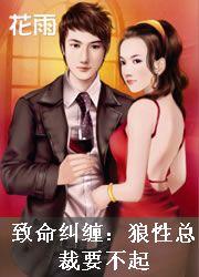 电视剧致命纠缠