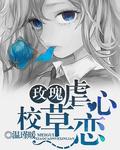 玫瑰(acome)