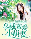 总裁的心尖萌妻