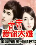 爱你入骨笔趣阁