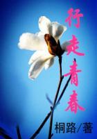 行走青春成语