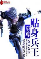 至尊兵王无弹窗