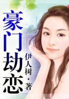 豪门劫系列